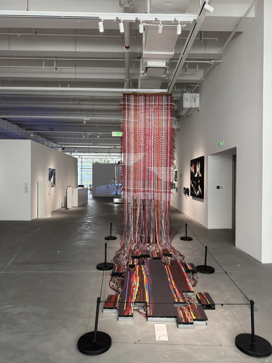 上海9月必打卡的高质量艺术大展