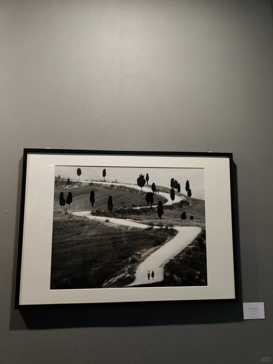 摄影器材展销会