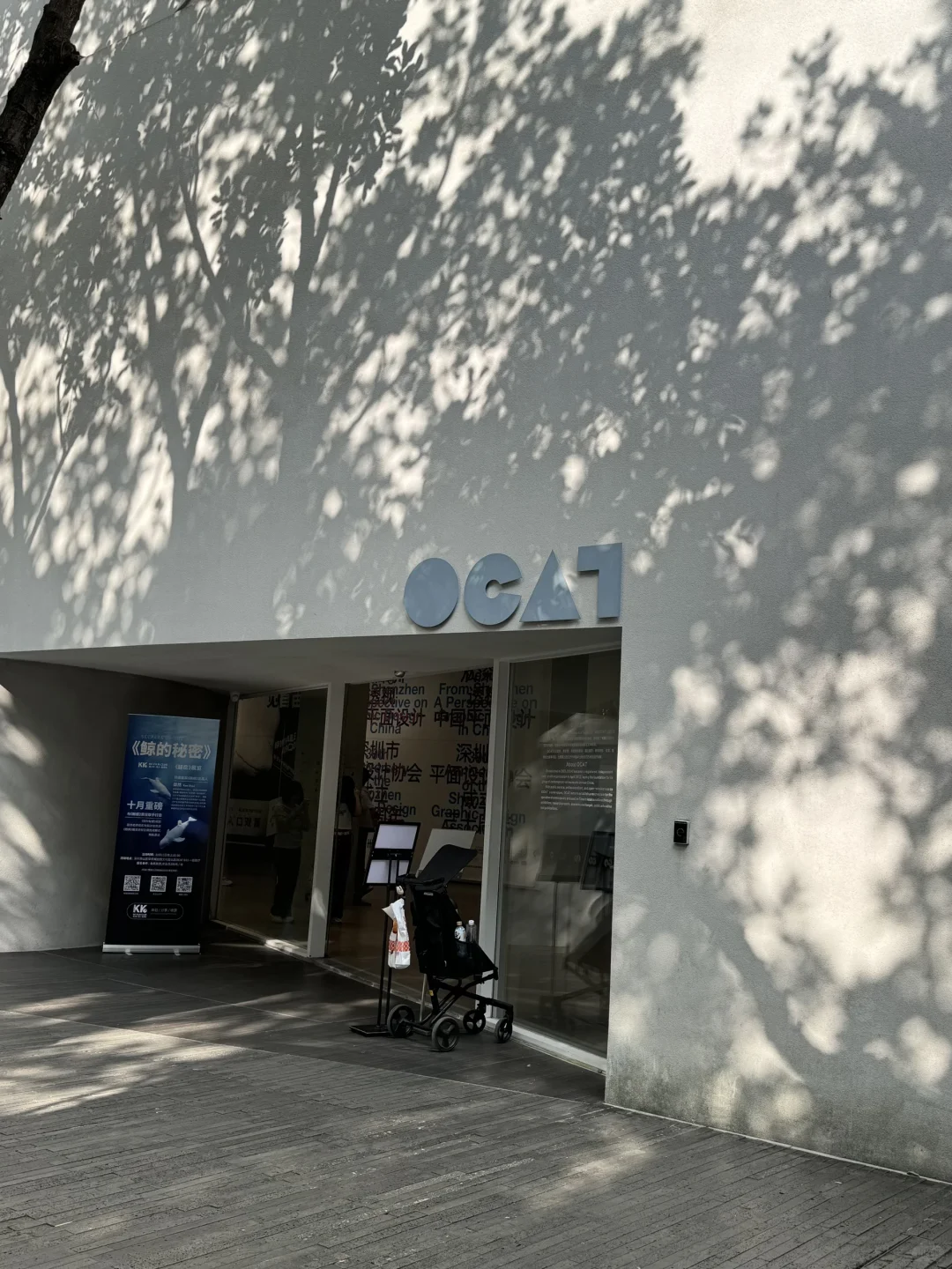 深圳南山公益展｜鲸鱼展会? ꙳⋆?.✰·.