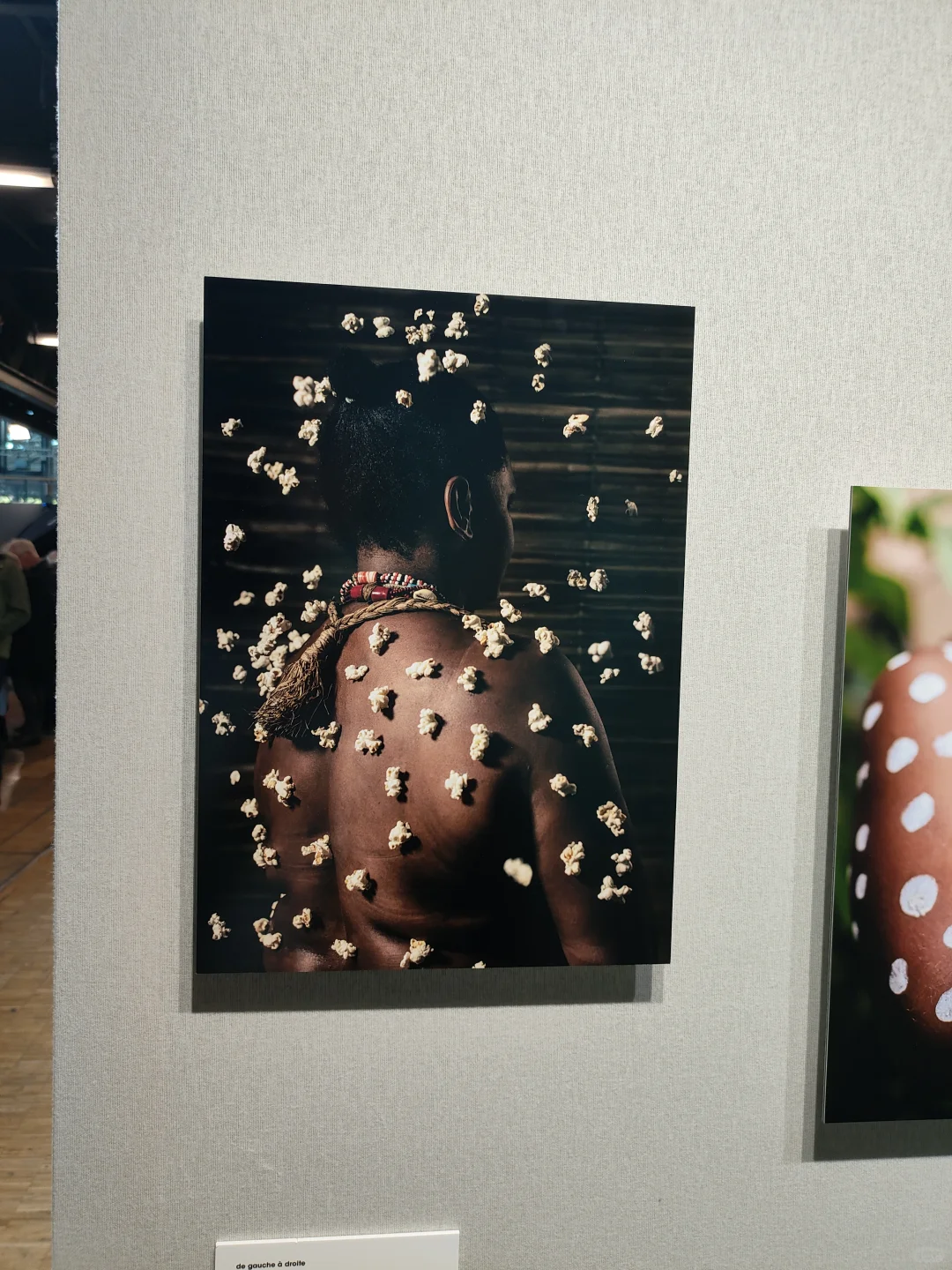 摄影器材展销会