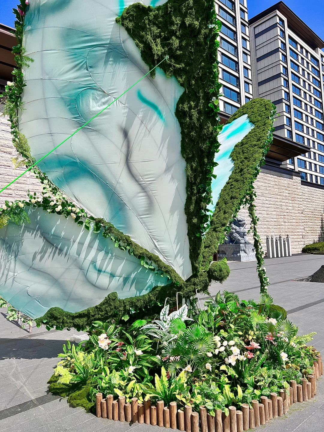 ?邯郸谁还没看这个的蝴蝶展啊！国庆冲??～