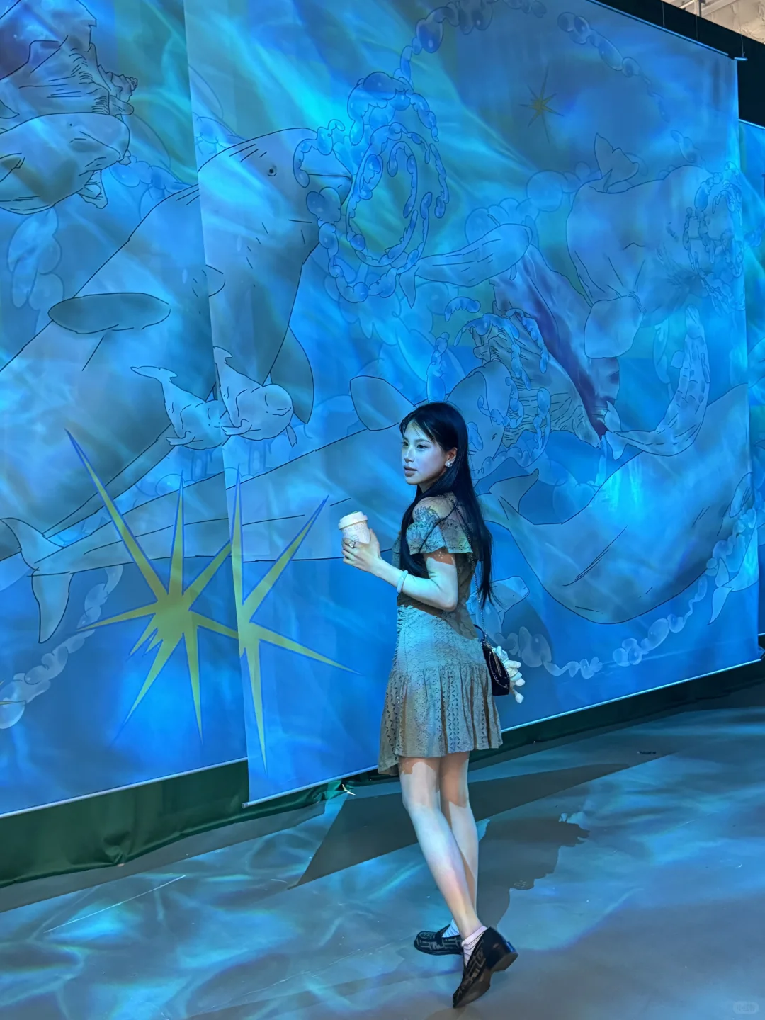 深圳南山公益展｜鲸鱼展会? ꙳⋆?.✰·.