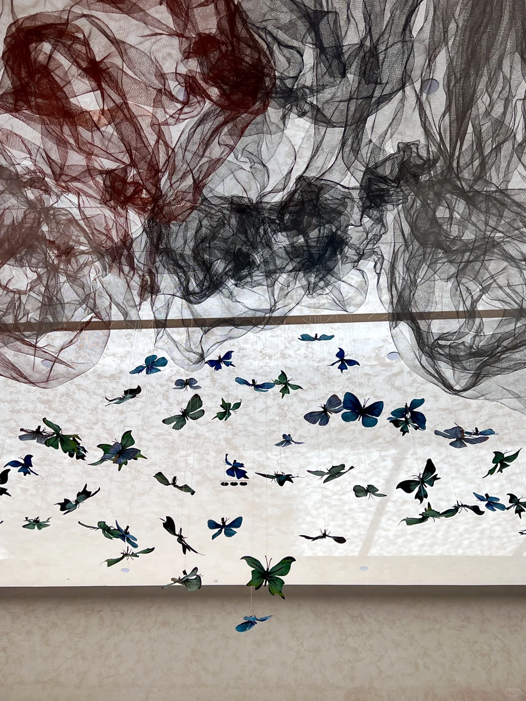 ?邯郸谁还没看这个的蝴蝶展啊！国庆冲??～