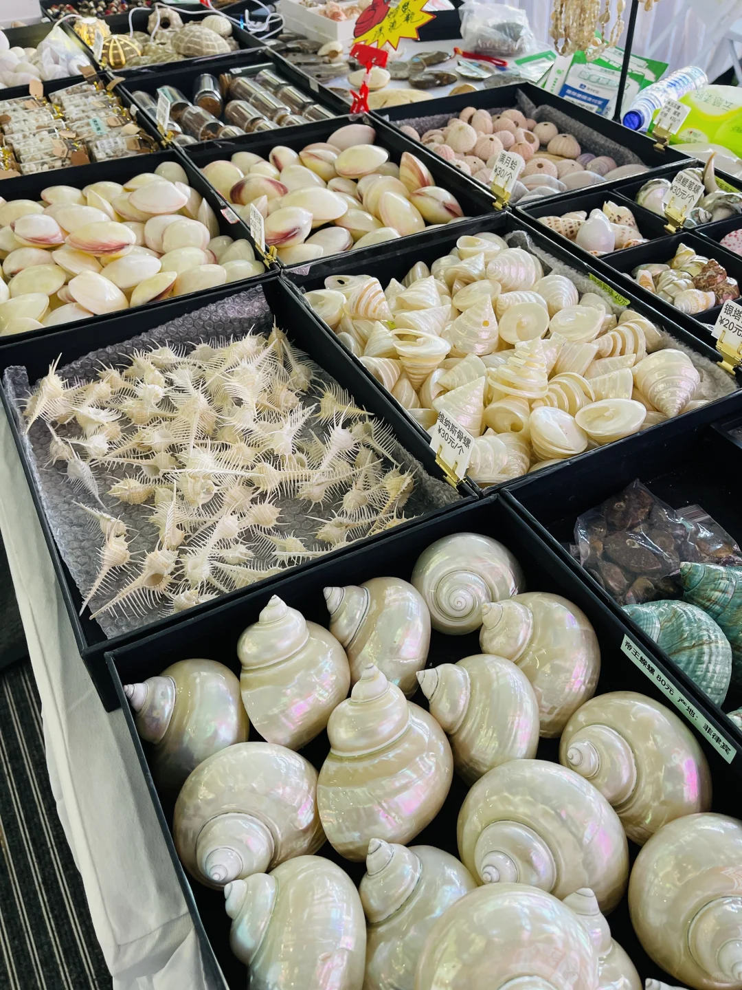 北京国庆免费逛展