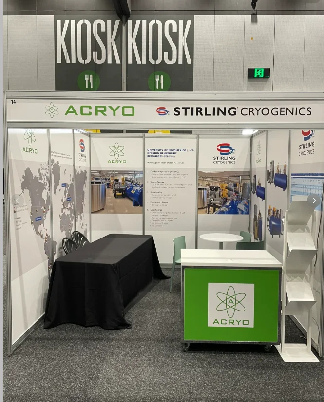 求一个能设计搭建全包的