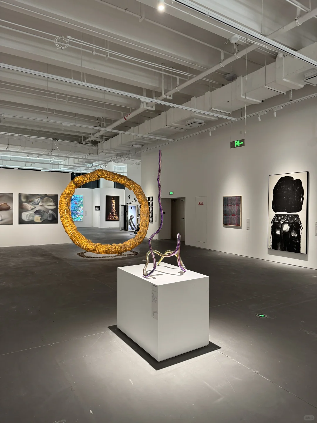 上海9月必打卡的高质量艺术大展