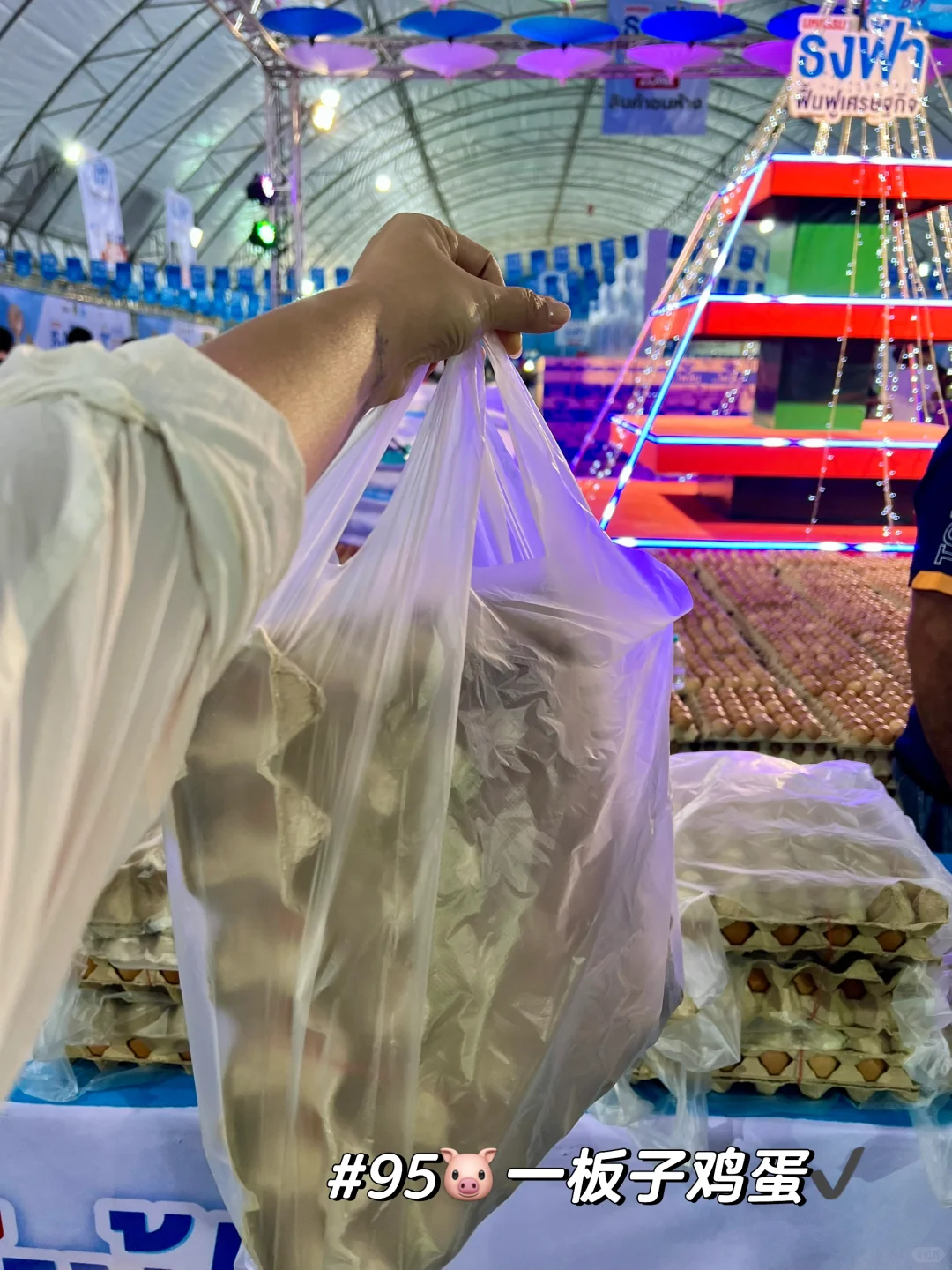 清迈｜谁还没去鲜花节门口的展销会呀？