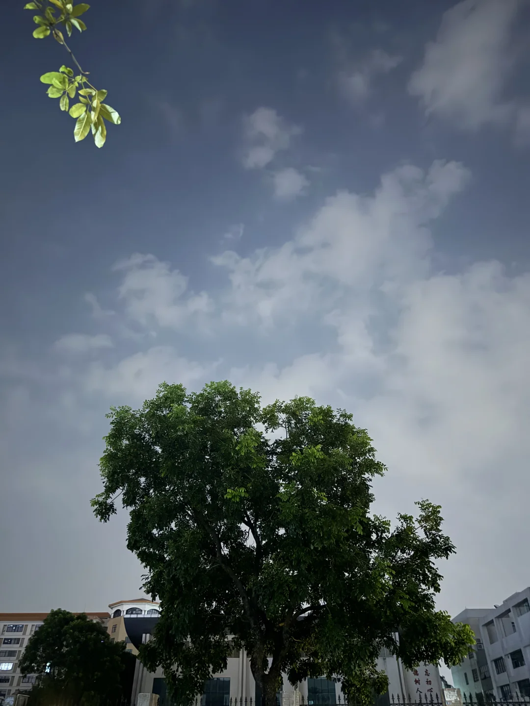 楼下全是商务车，广交会又要开始忙了