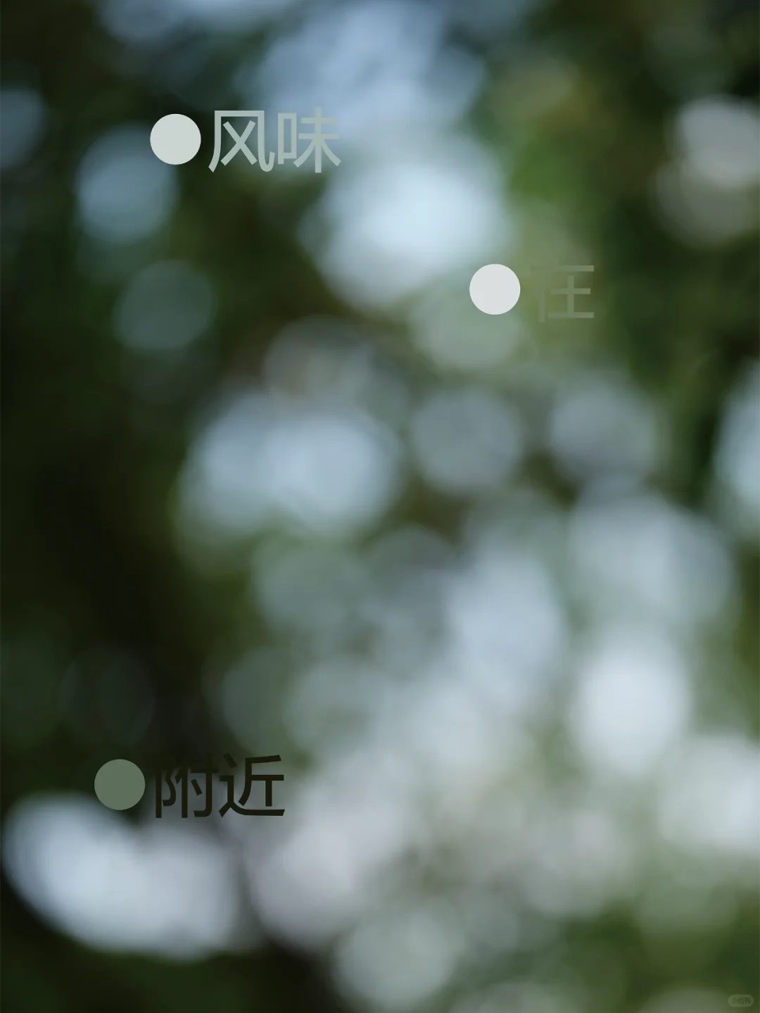 在福州的秋天，与艺术来一场不期而遇