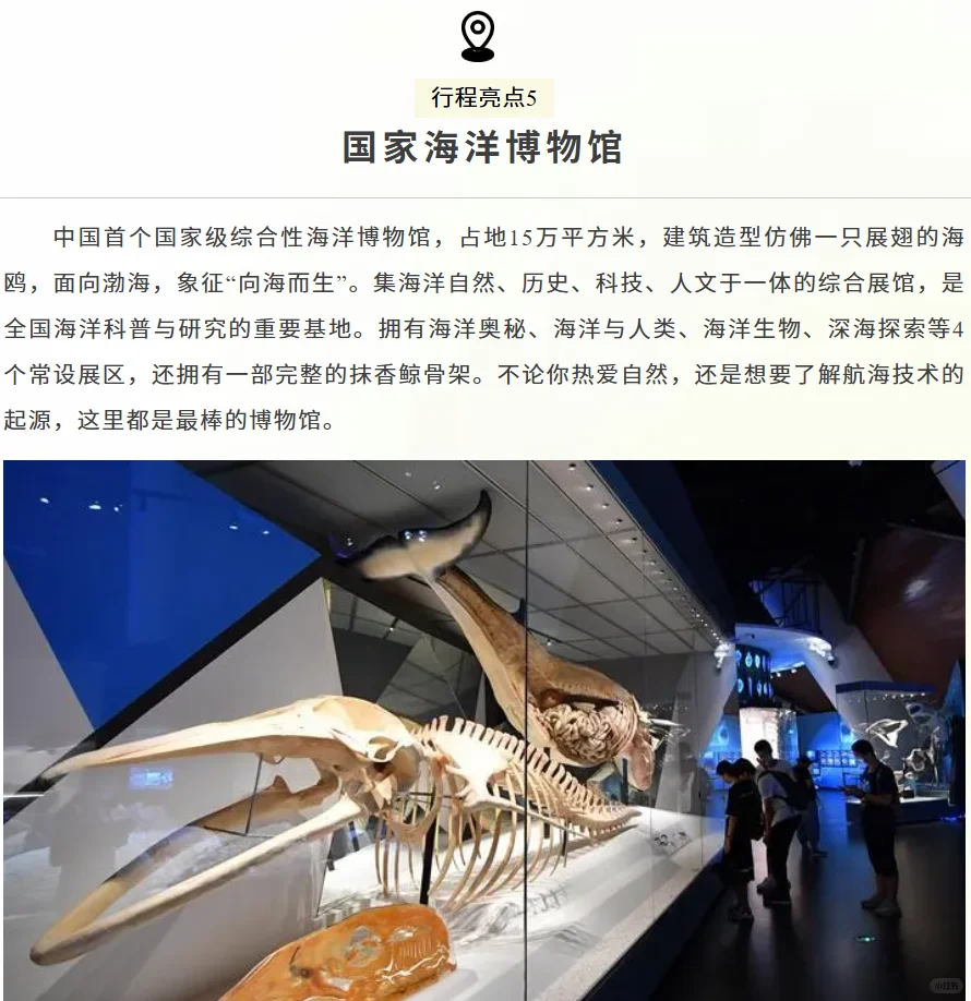 ?“限时招募！一起奔赴中国天津国际直博会