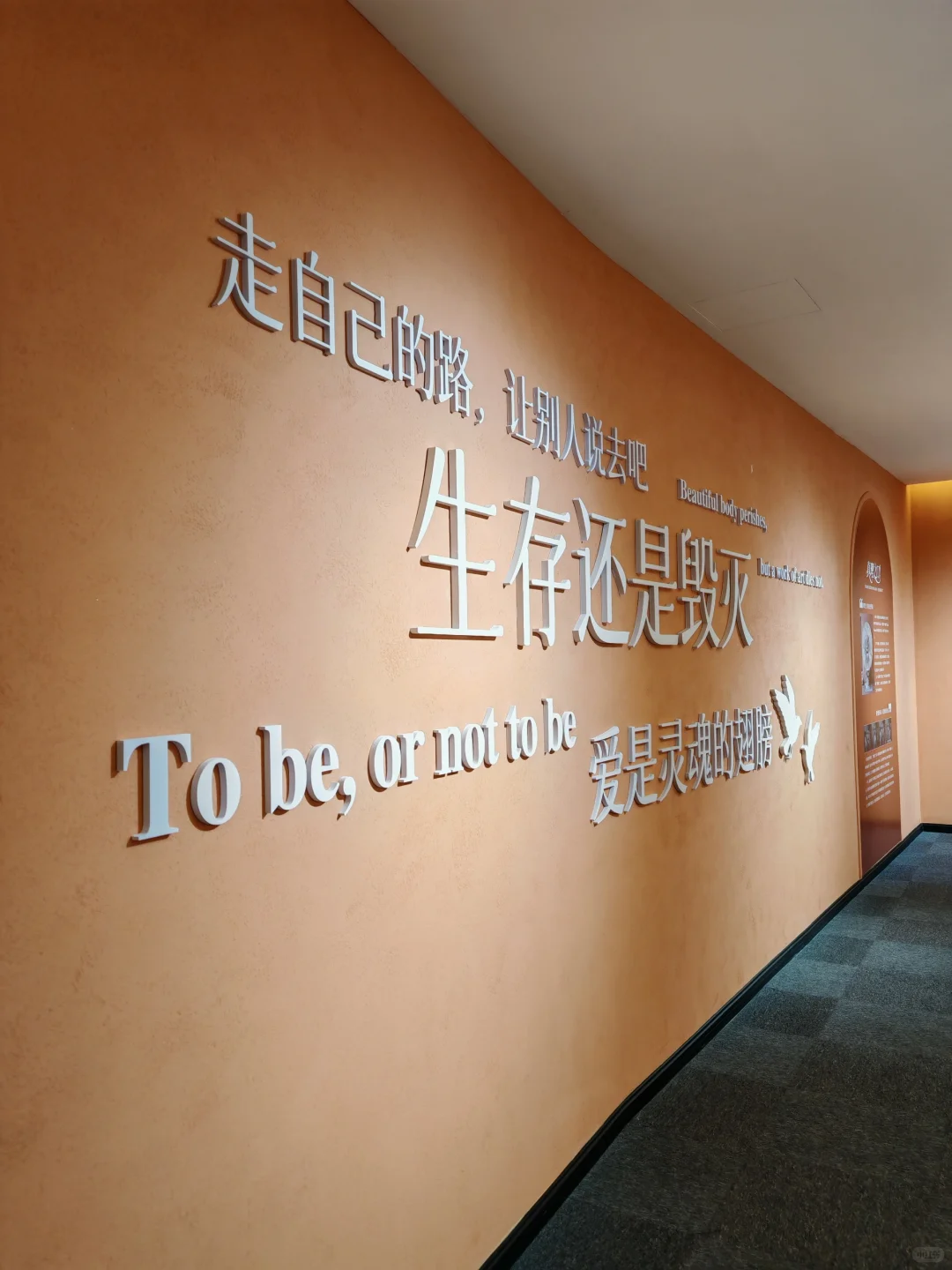 深圳新展！罗湖！佛兰德斯的艺术