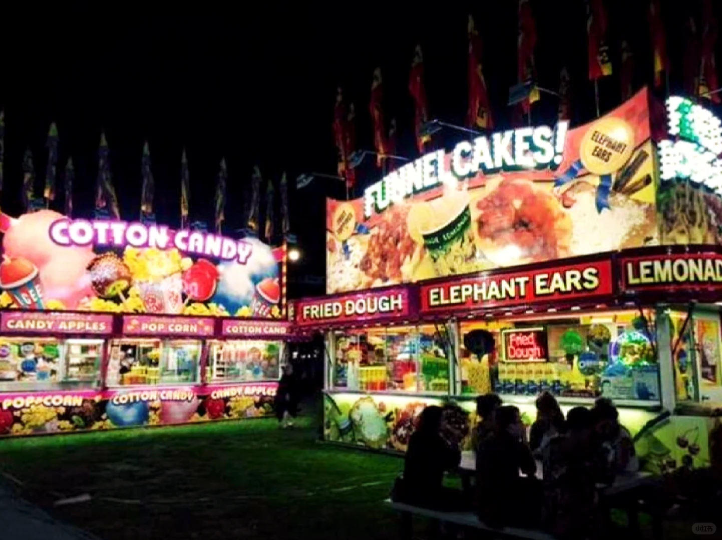 美国人的嘉年华会- 州博览会State Fair