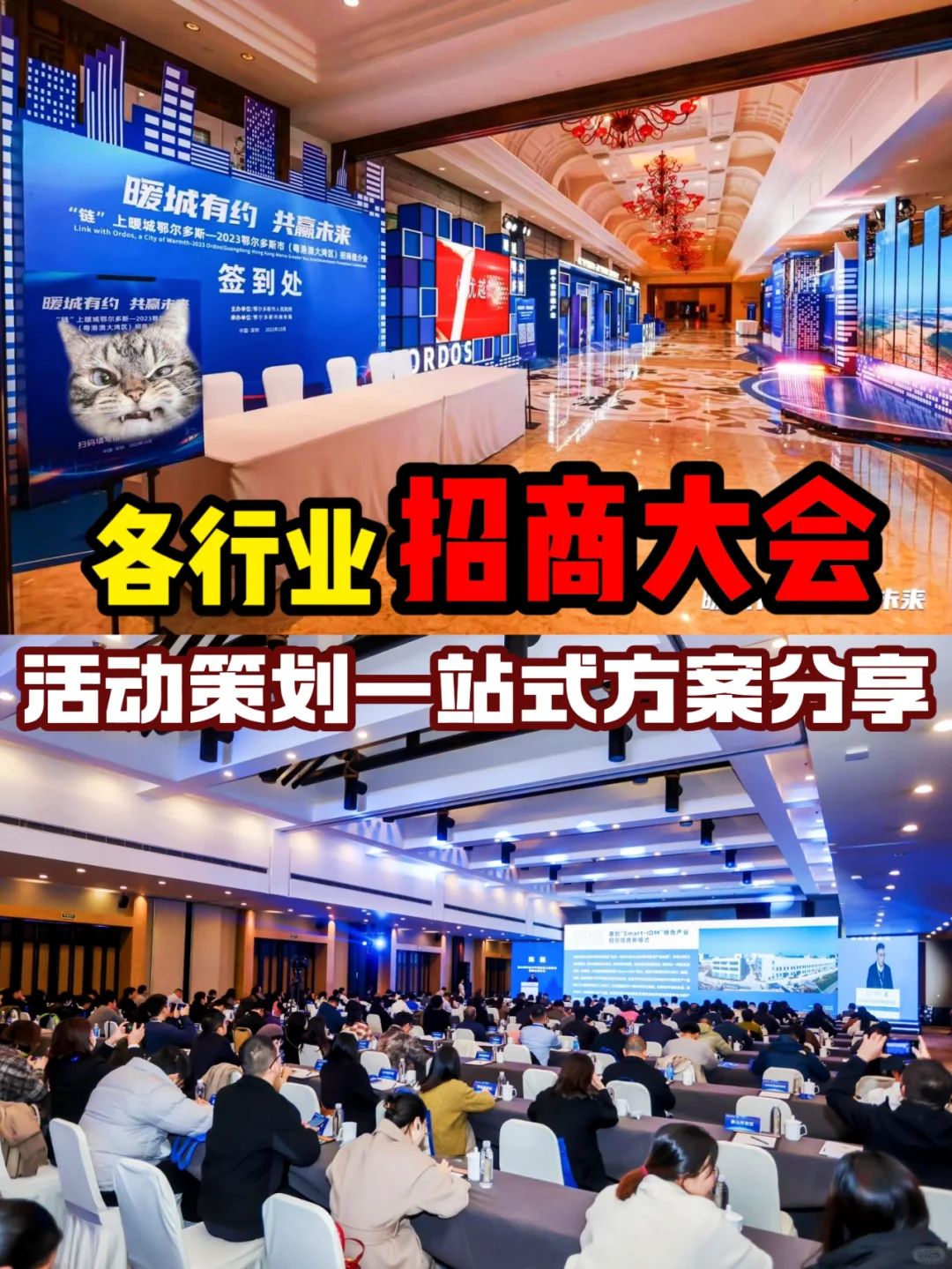 招商会活动策划，一站式活动方案分享。
