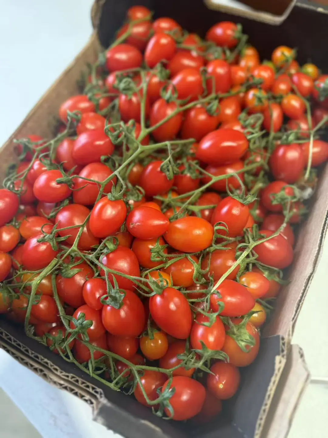 ??悉尼人都偷偷在逛的批发仓库太省钱了‼️