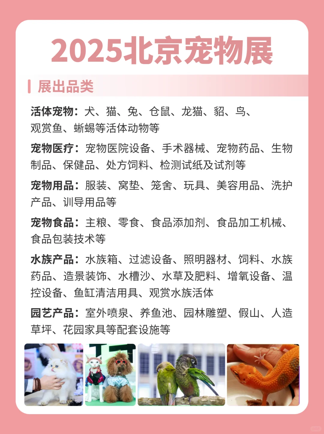 2025北京宠物展10月开幕！逛展攻略请查收！
