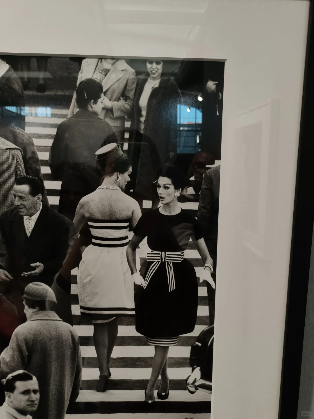 摄影器材展销会