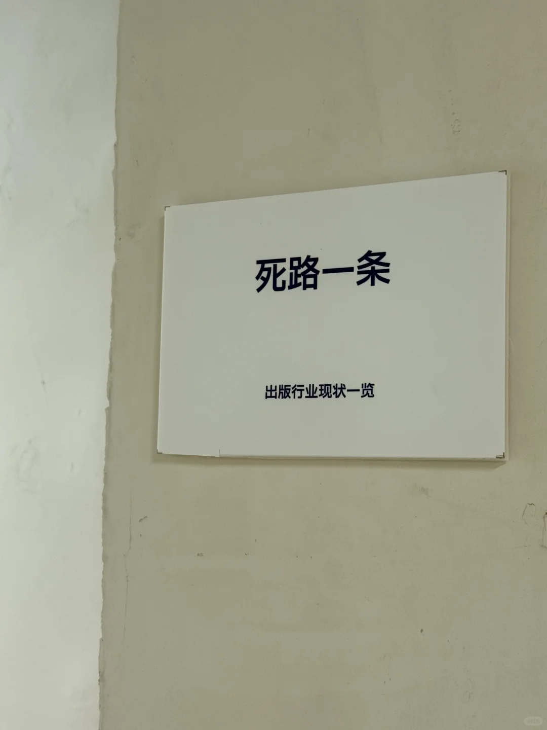 哈哈哈哈哈来逛展的绝对不要错过这些细节