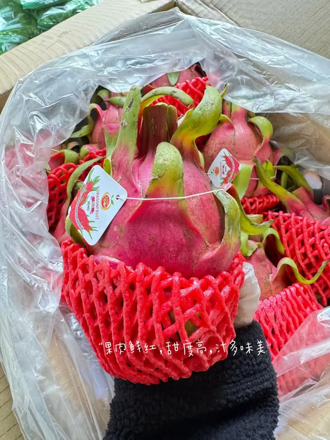 ??悉尼人都偷偷在逛的批发仓库太省钱了‼️