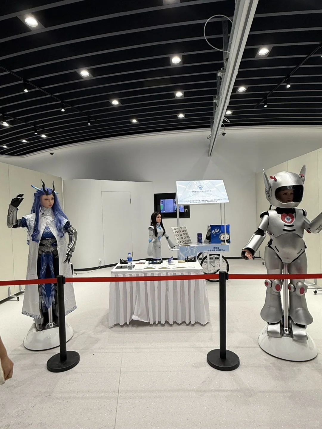 长春国庆必冲！仿生机器人展太震撼✨