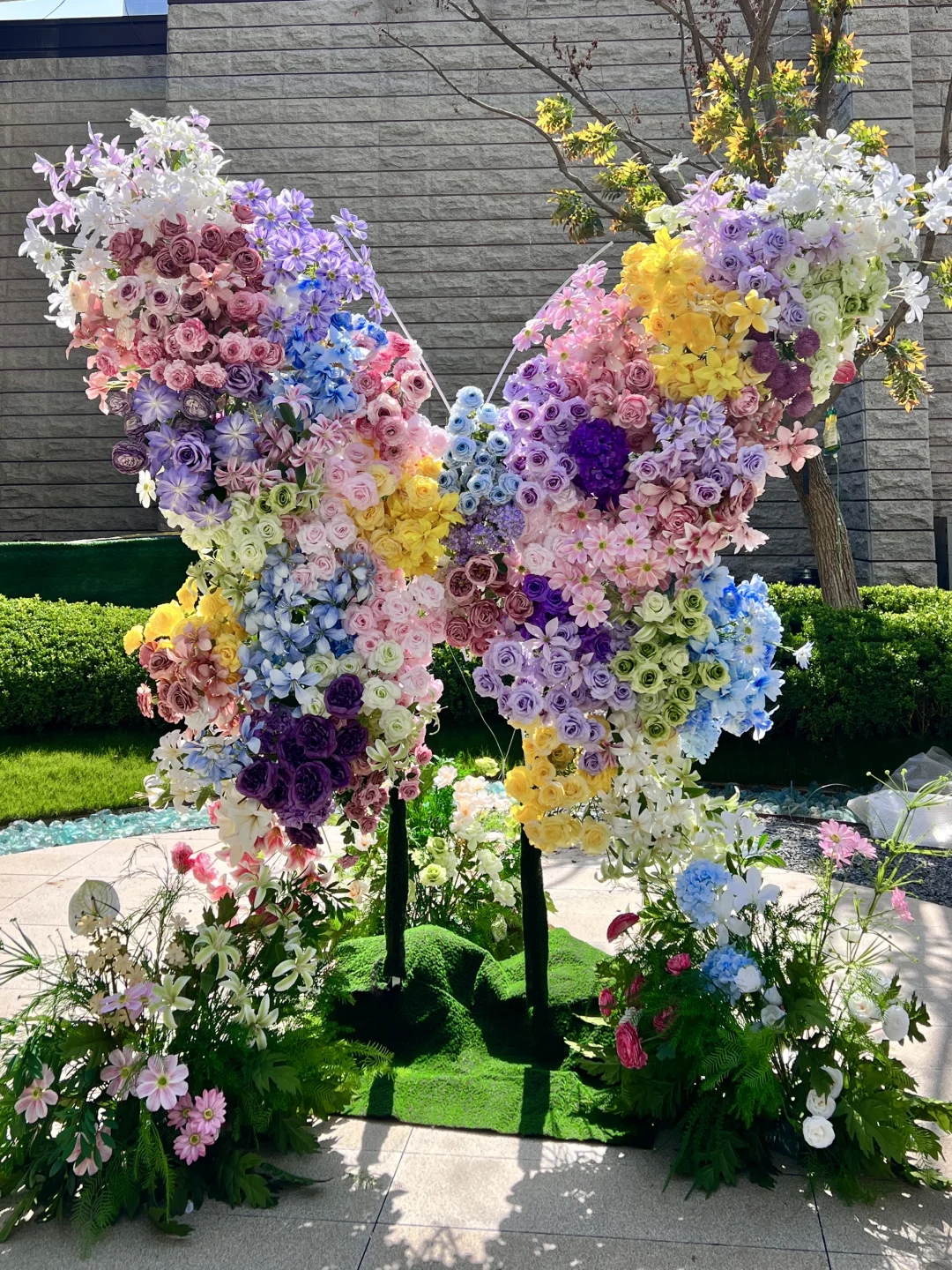 ?邯郸谁还没看这个的蝴蝶展啊！国庆冲??～