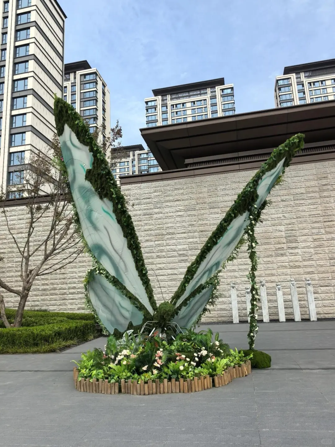 邯郸！拍照超出片！真蝴蝶?花房！