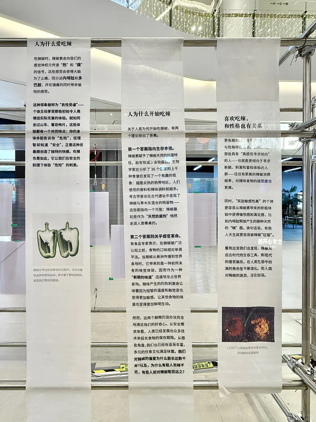重庆！！新出的辣椒展真的好有趣！！！