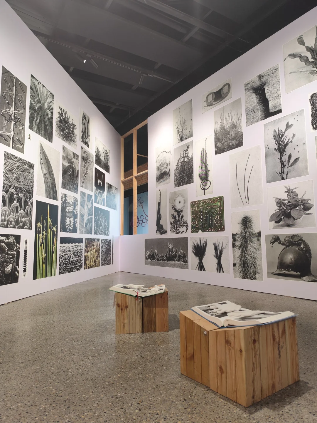 学策展干货｜用色大胆主题鲜明展览案例分享