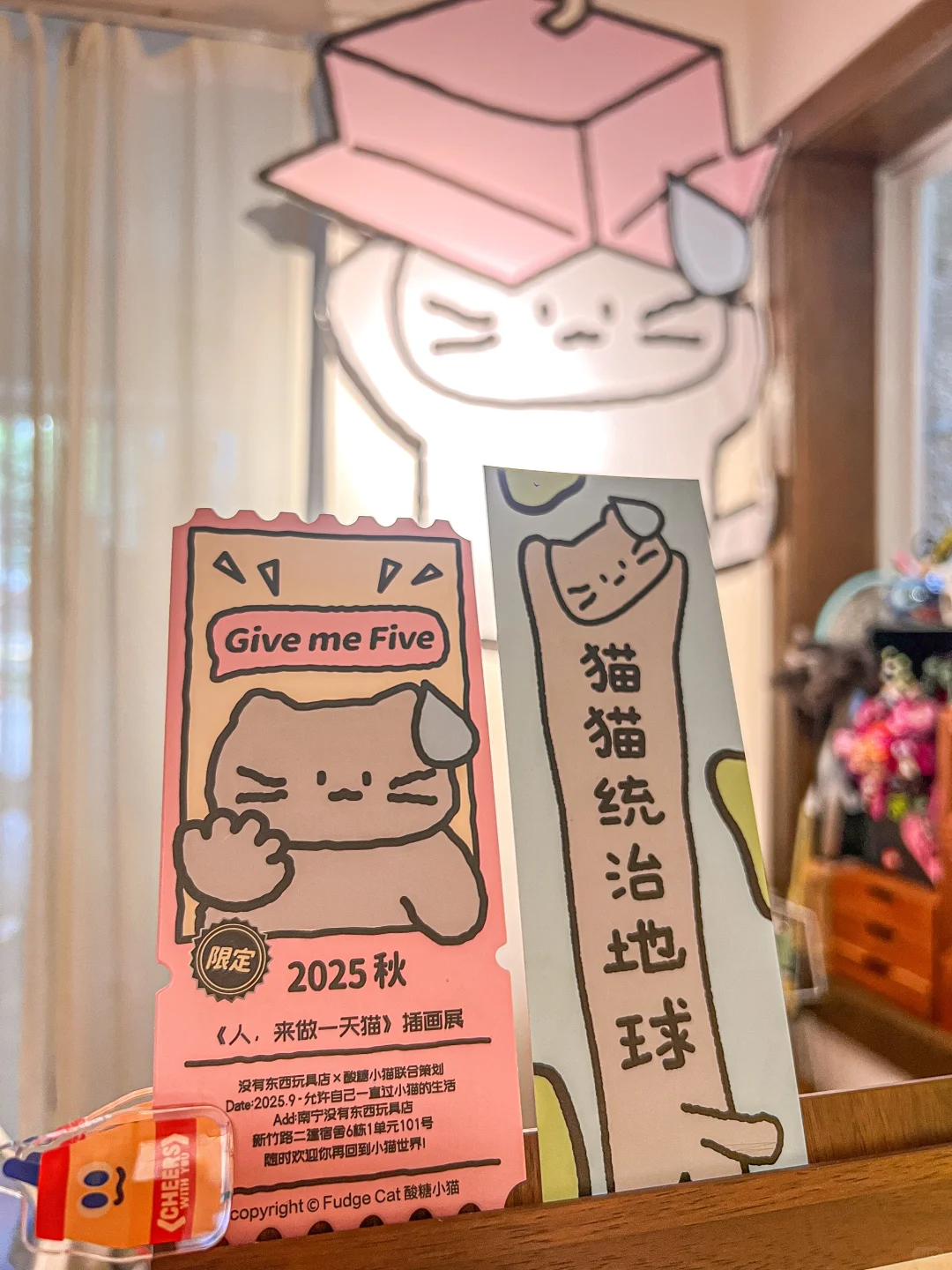 南宁10月限定可爱展！！来了都变成小猫！！！