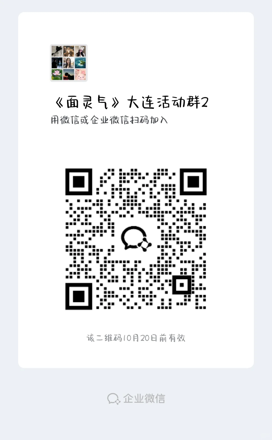 大连展会黑马盒装本????