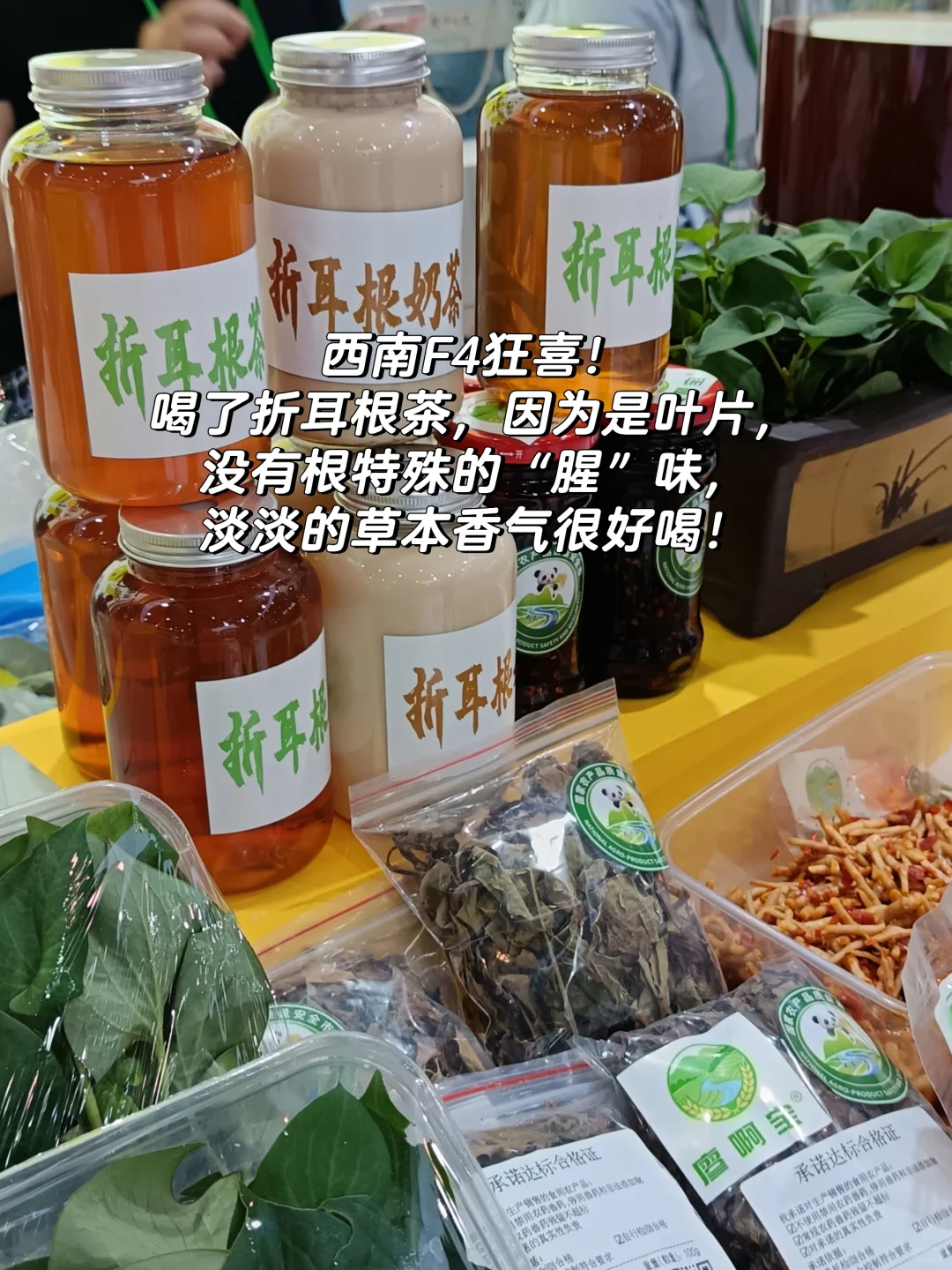 超有意思！进来看看农博会的正确打开方式