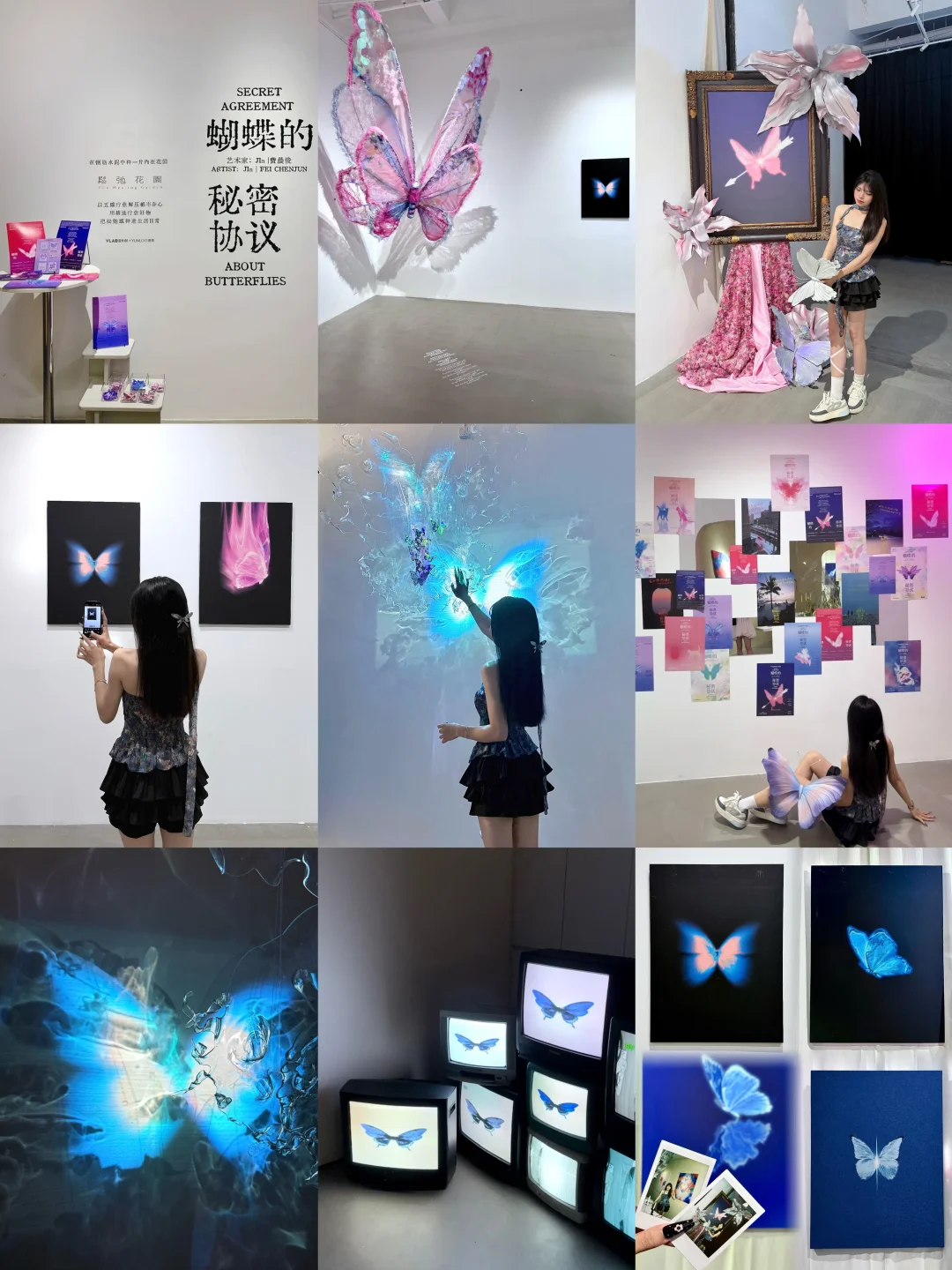?广州看展｜蝴蝶秘密协议?