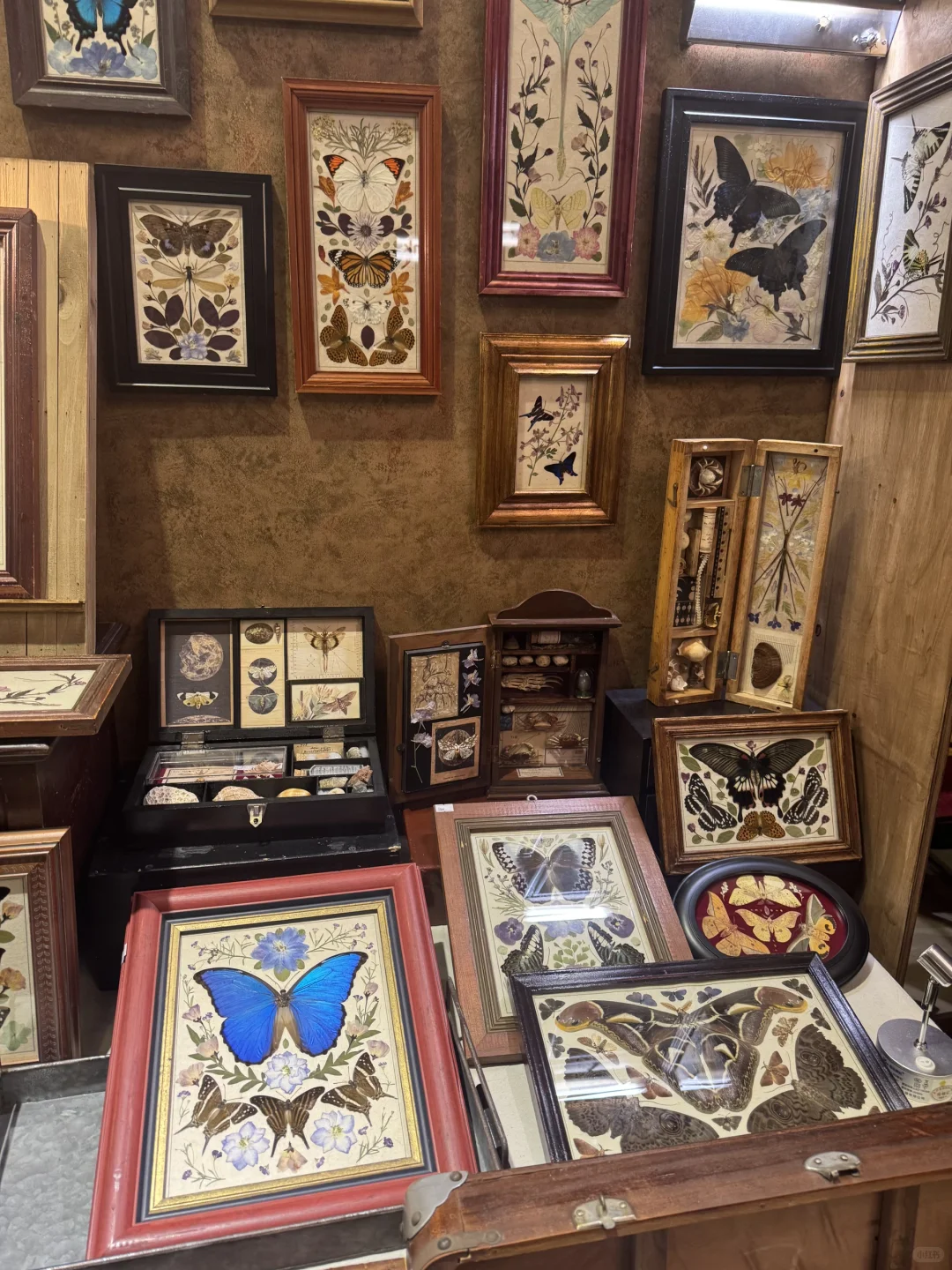 国庆魔都看展一日游！玩物丧志➡️早春乐事