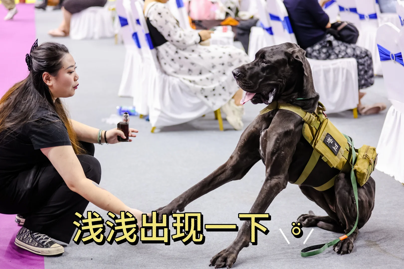 家人们！第十四届深圳国际宠物展来袭