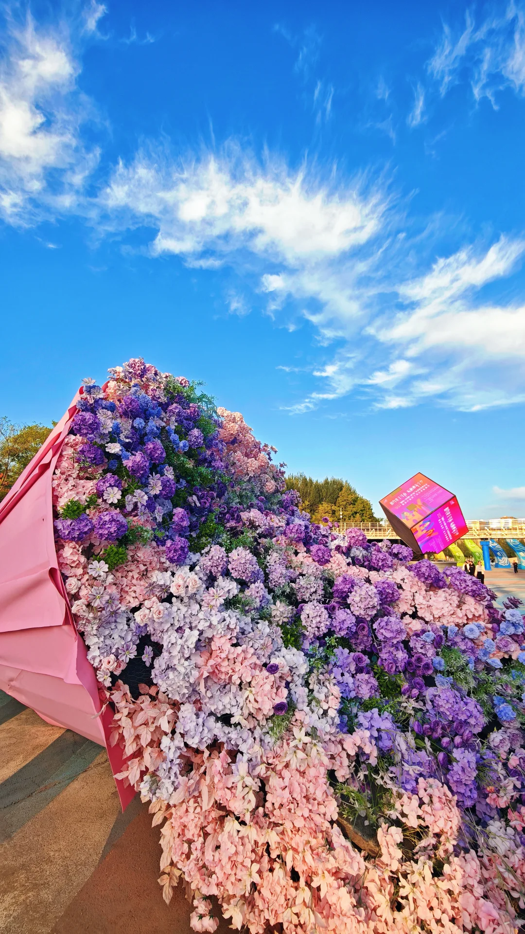 银川花博园，你让我感到陌生