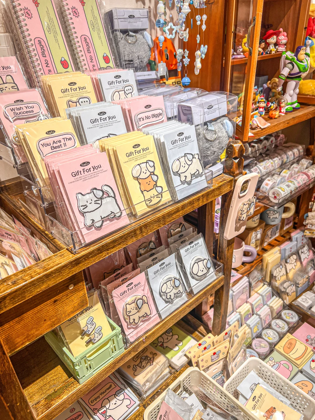 南宁10月限定可爱展！！来了都变成小猫！！！
