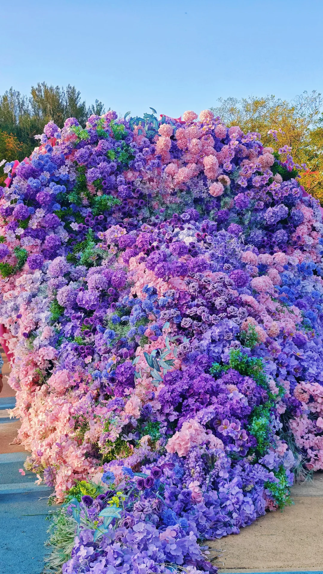 银川花博园，你让我感到陌生