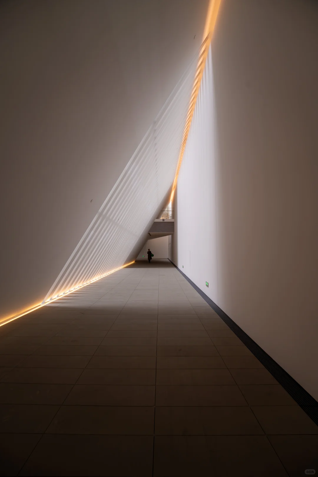 北京新展 | 是展览太美，还是观众太会拍？