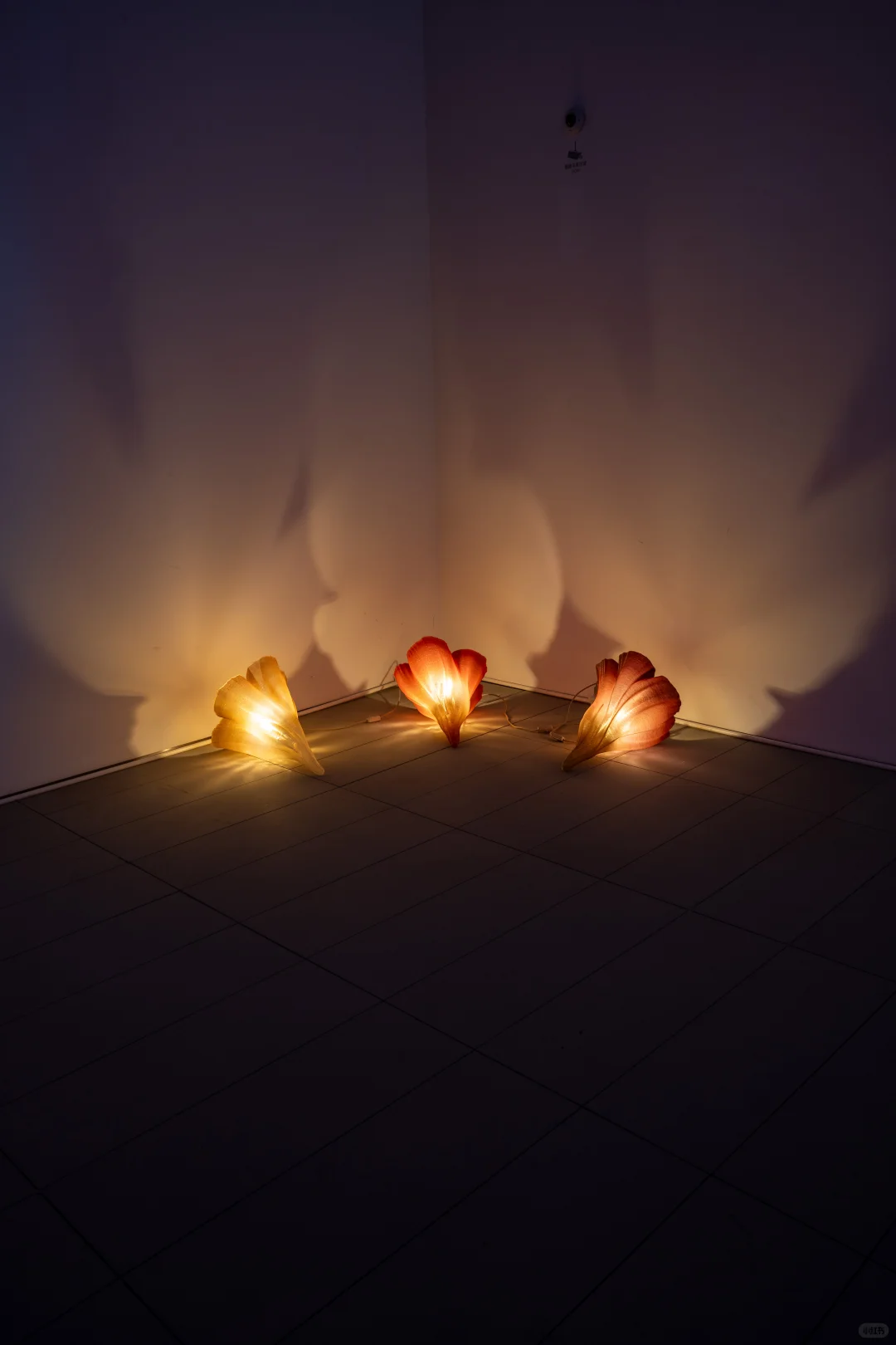 北京新展 | 是展览太美，还是观众太会拍？