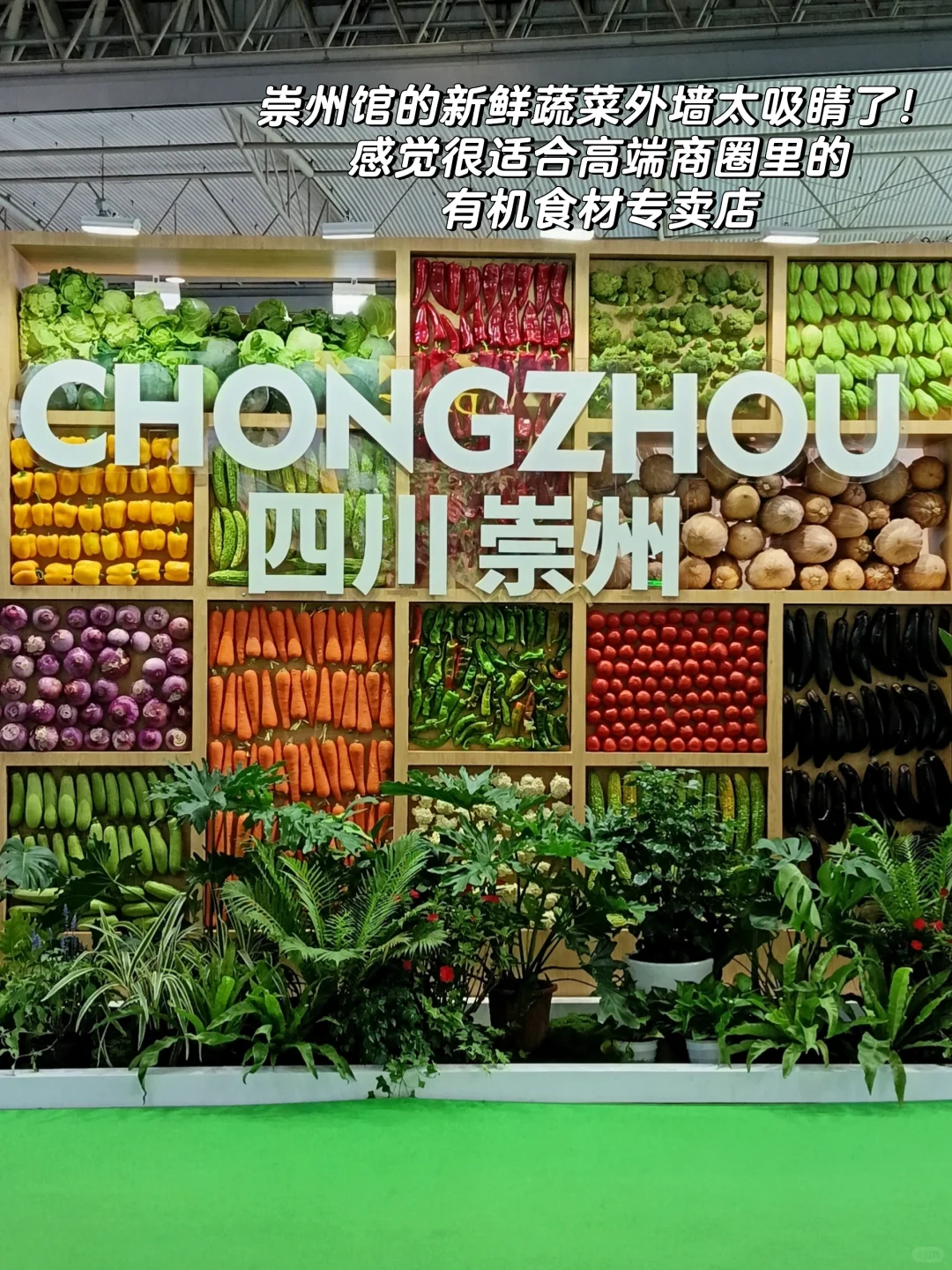超有意思！进来看看农博会的正确打开方式