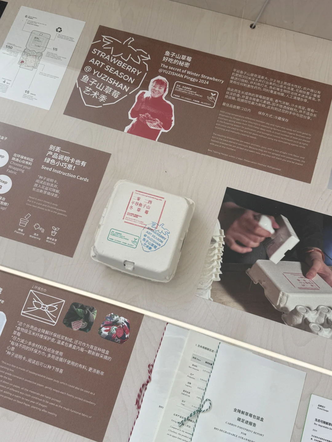小红书设计展