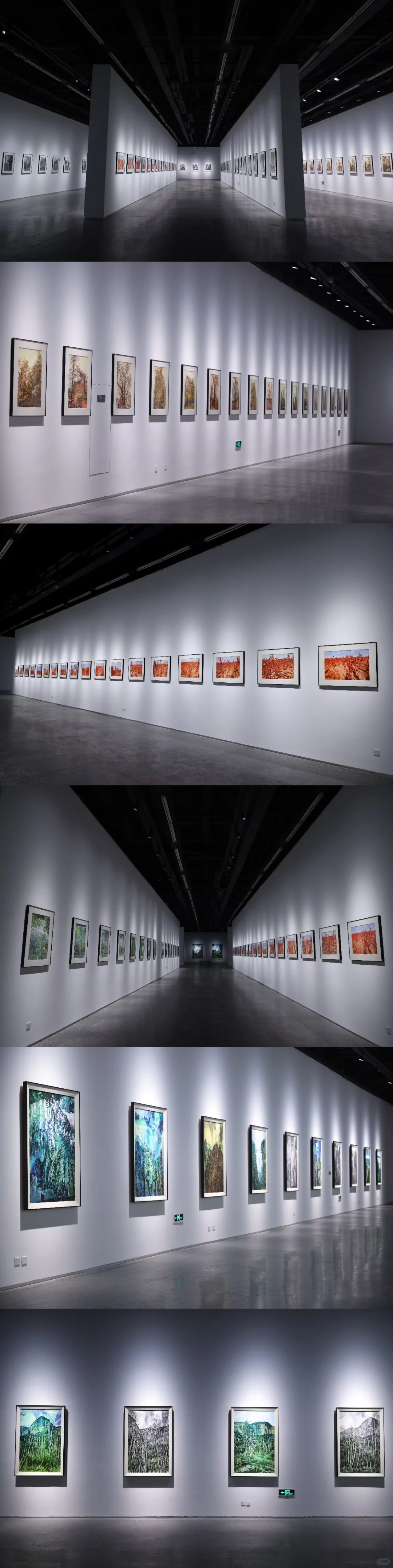 ?宁波新展｜许江“仰山”艺术展