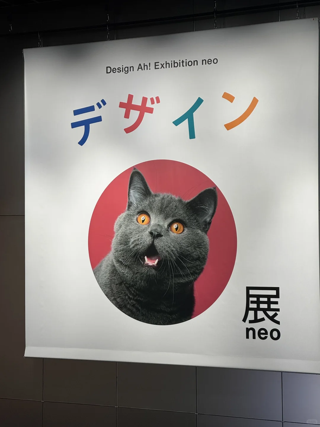 ??东京｜被大型设计あ展硬控3小时