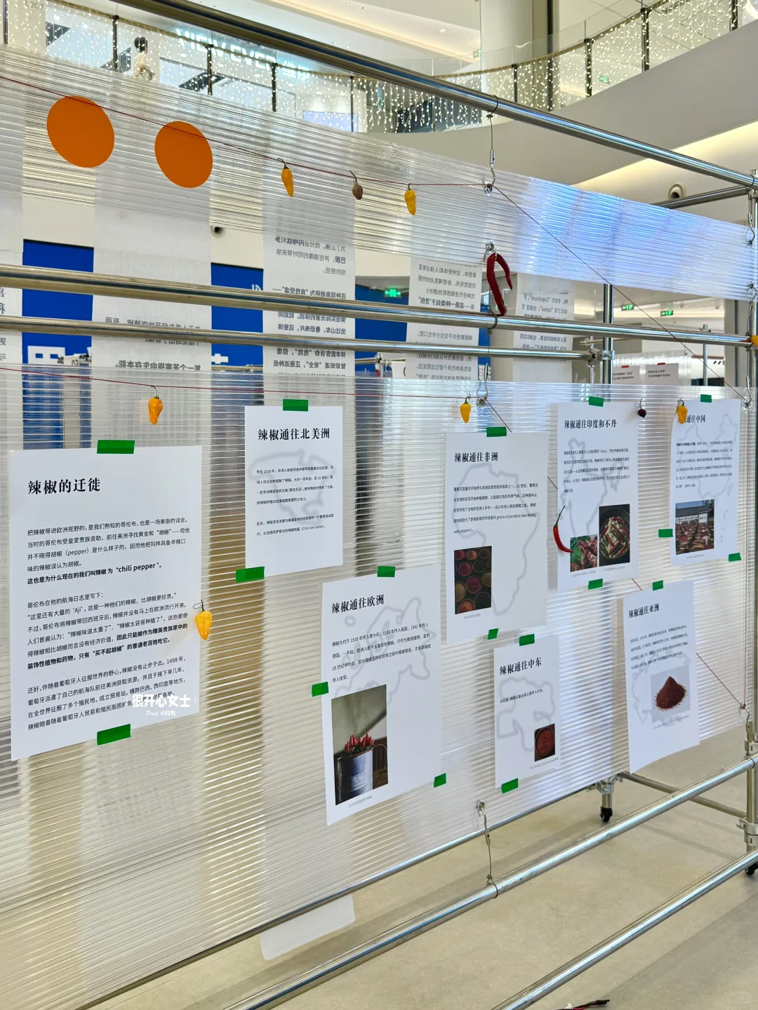重庆！！新出的辣椒展真的好有趣！！！