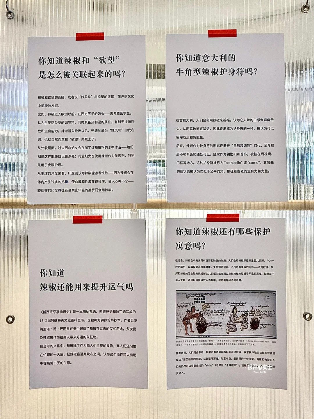 重庆！！新出的辣椒展真的好有趣！！！
