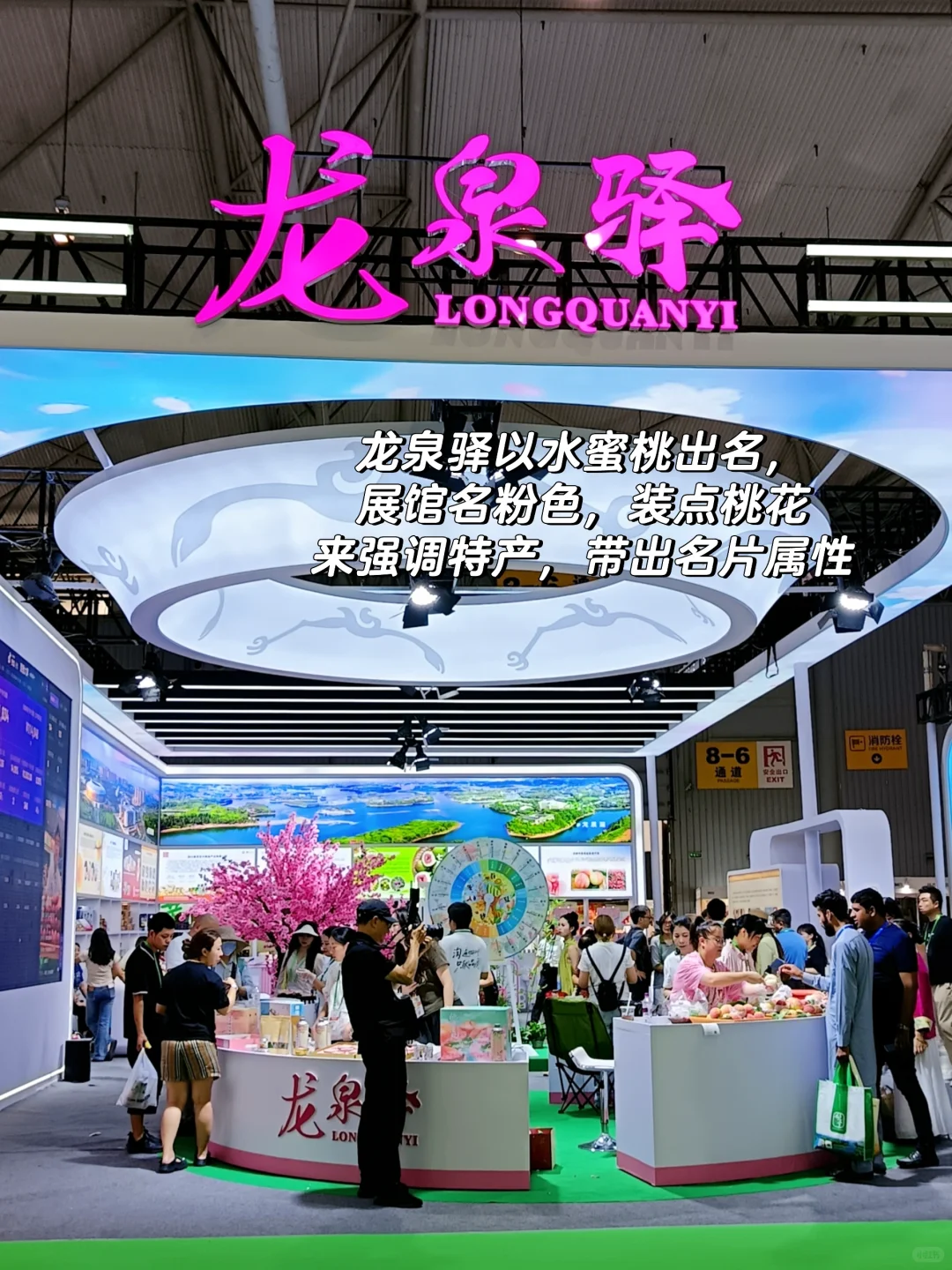 超有意思！进来看看农博会的正确打开方式