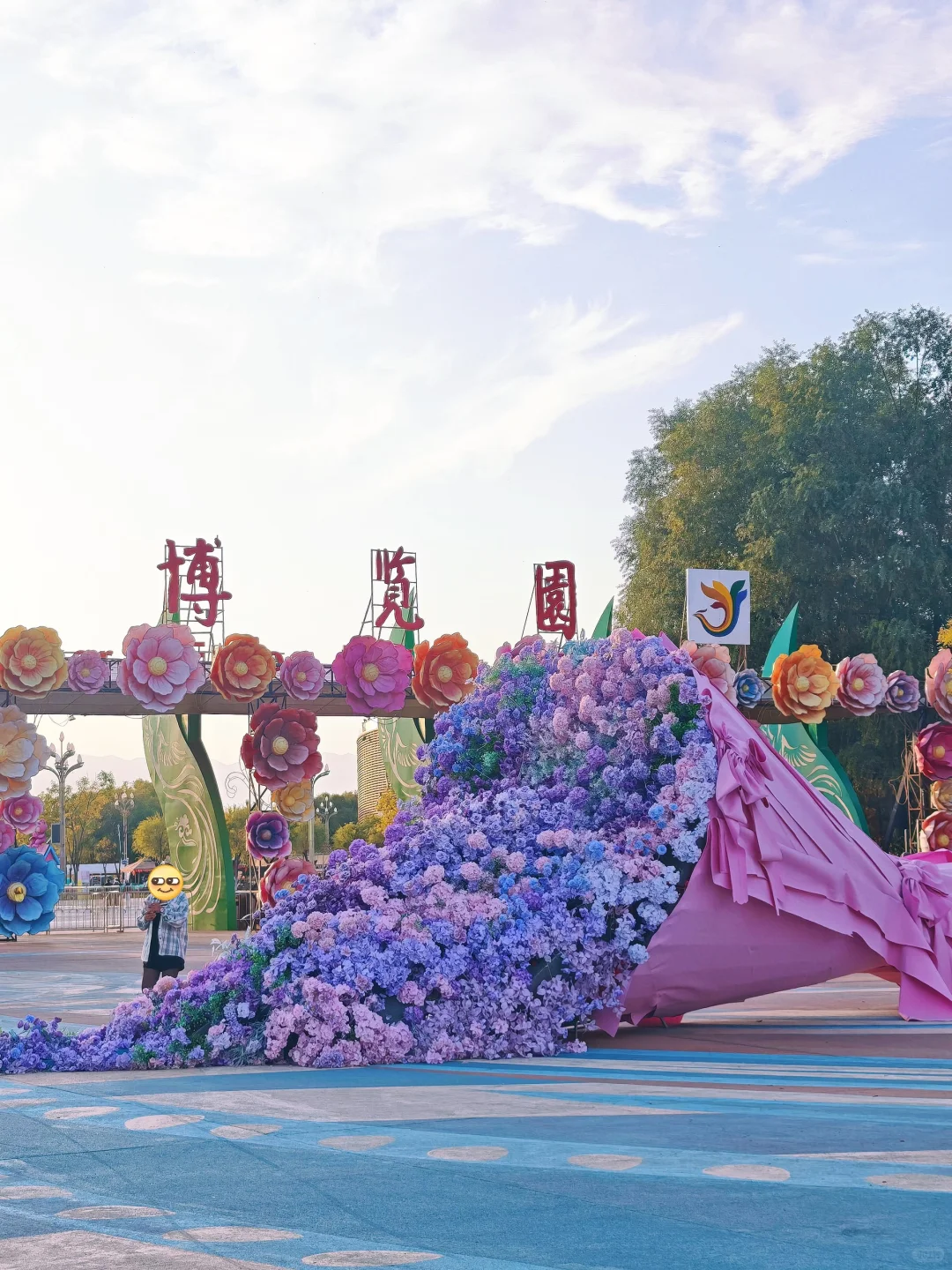 银川花博园，你让我感到陌生