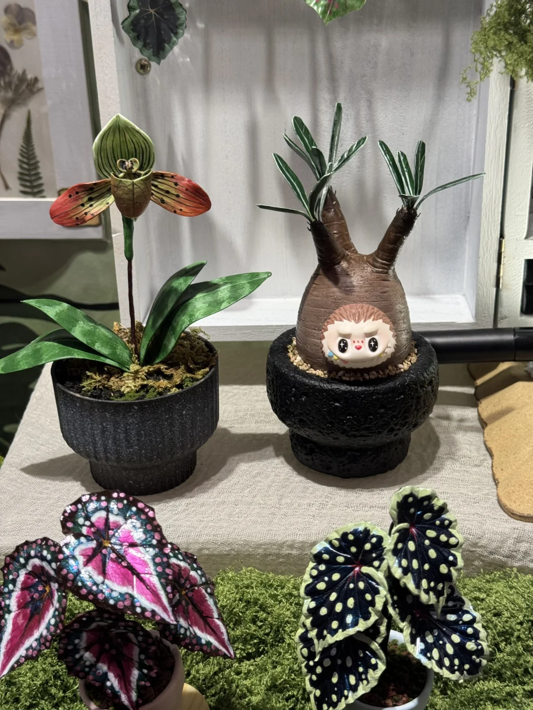 国庆魔都看展一日游！玩物丧志➡️早春乐事