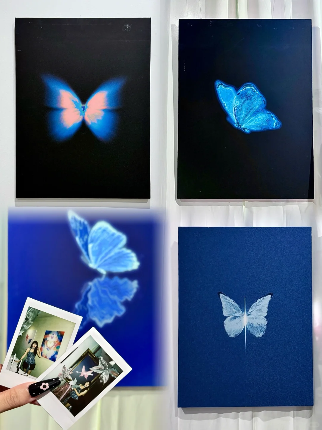 ?广州看展｜蝴蝶秘密协议?