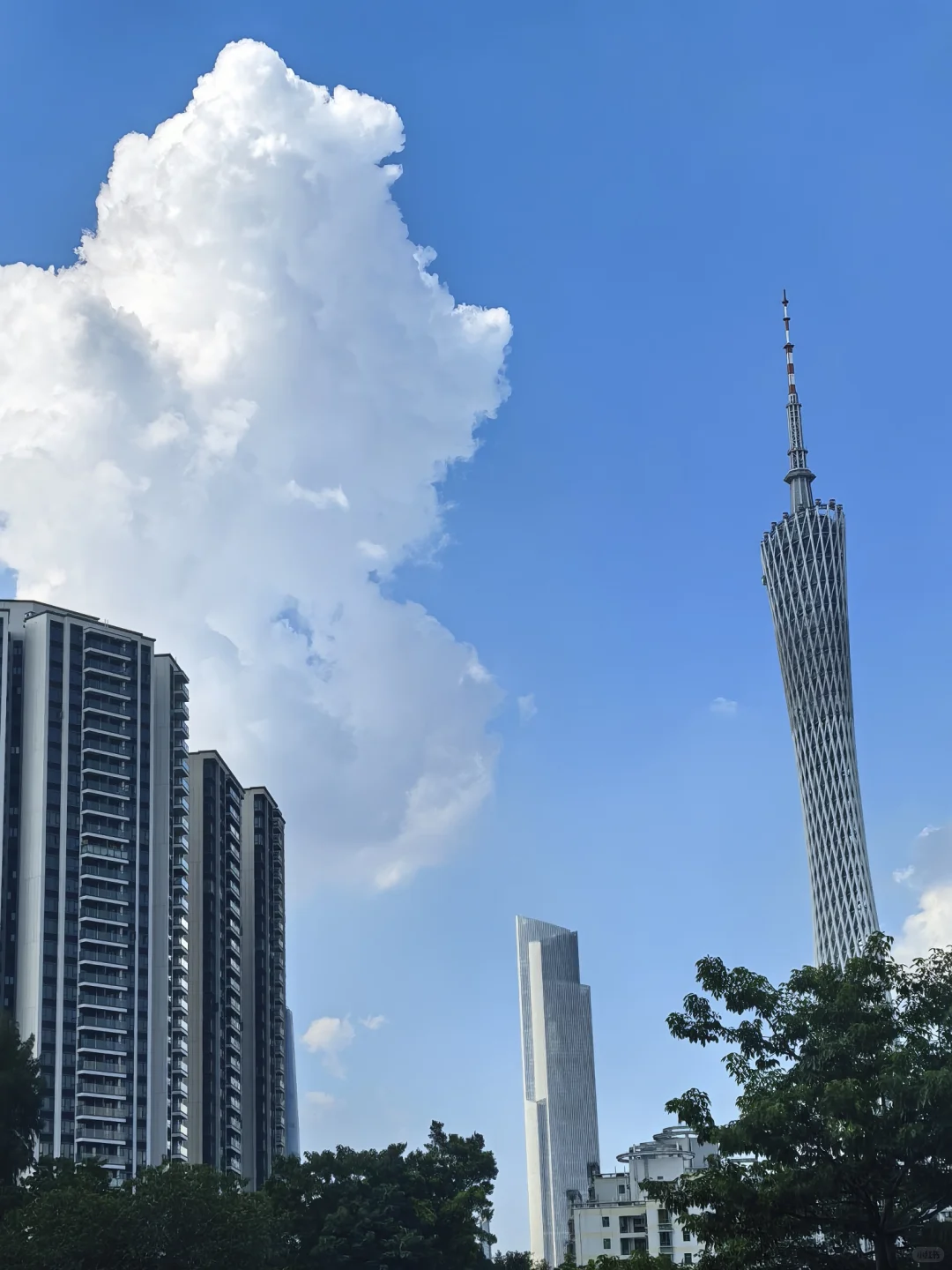 今年的旅游展太热闹了‼️
