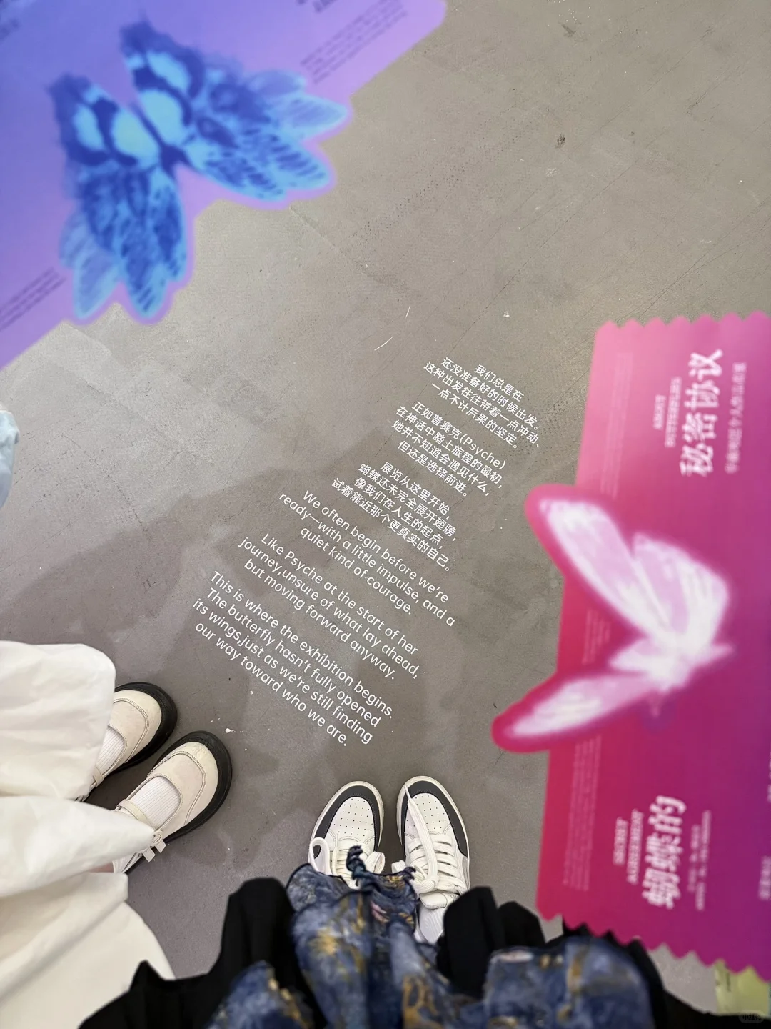 ?广州看展｜蝴蝶秘密协议?